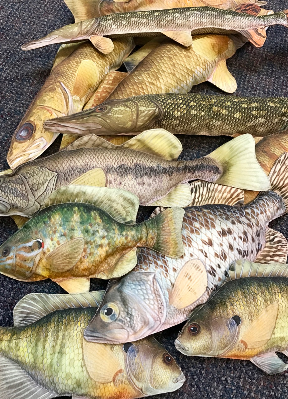 Kids can catch realistic replica fish representing the most common species found in Minnesota lakes