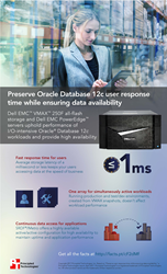 See how companies can offer fast response times for Oracle Database 12c applications and, in turn, provide a good user experience