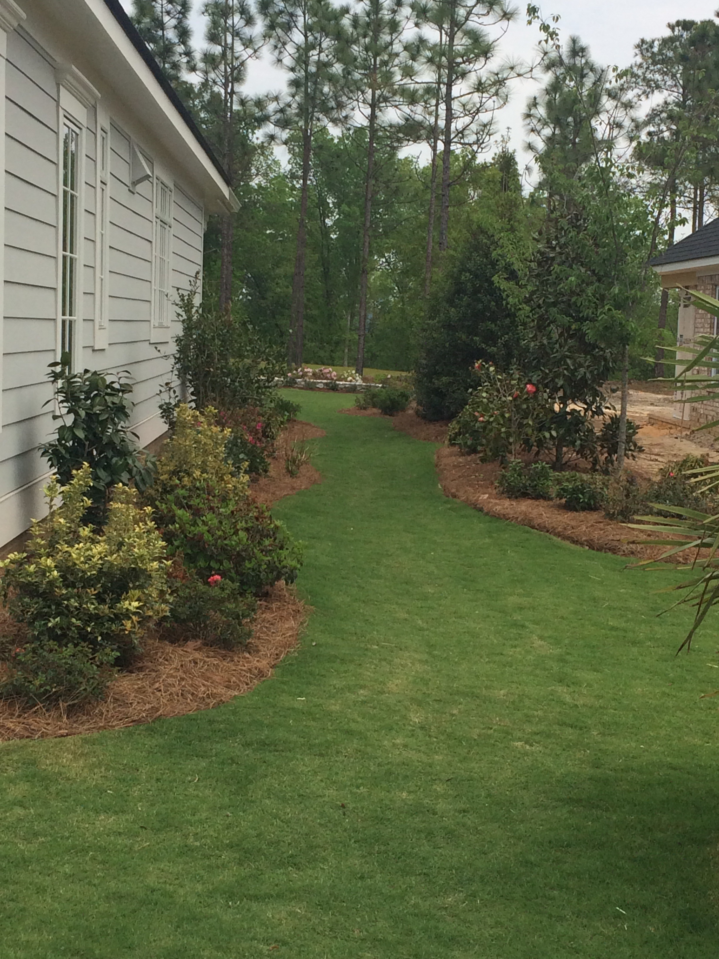 The Polo home's back lawn is full of TifTuf Bermuda and beautiful greenery.