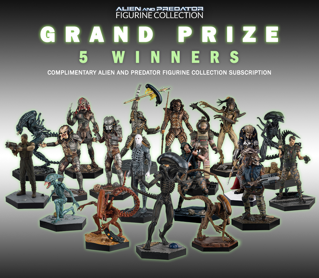 5 Grand Prize Winners