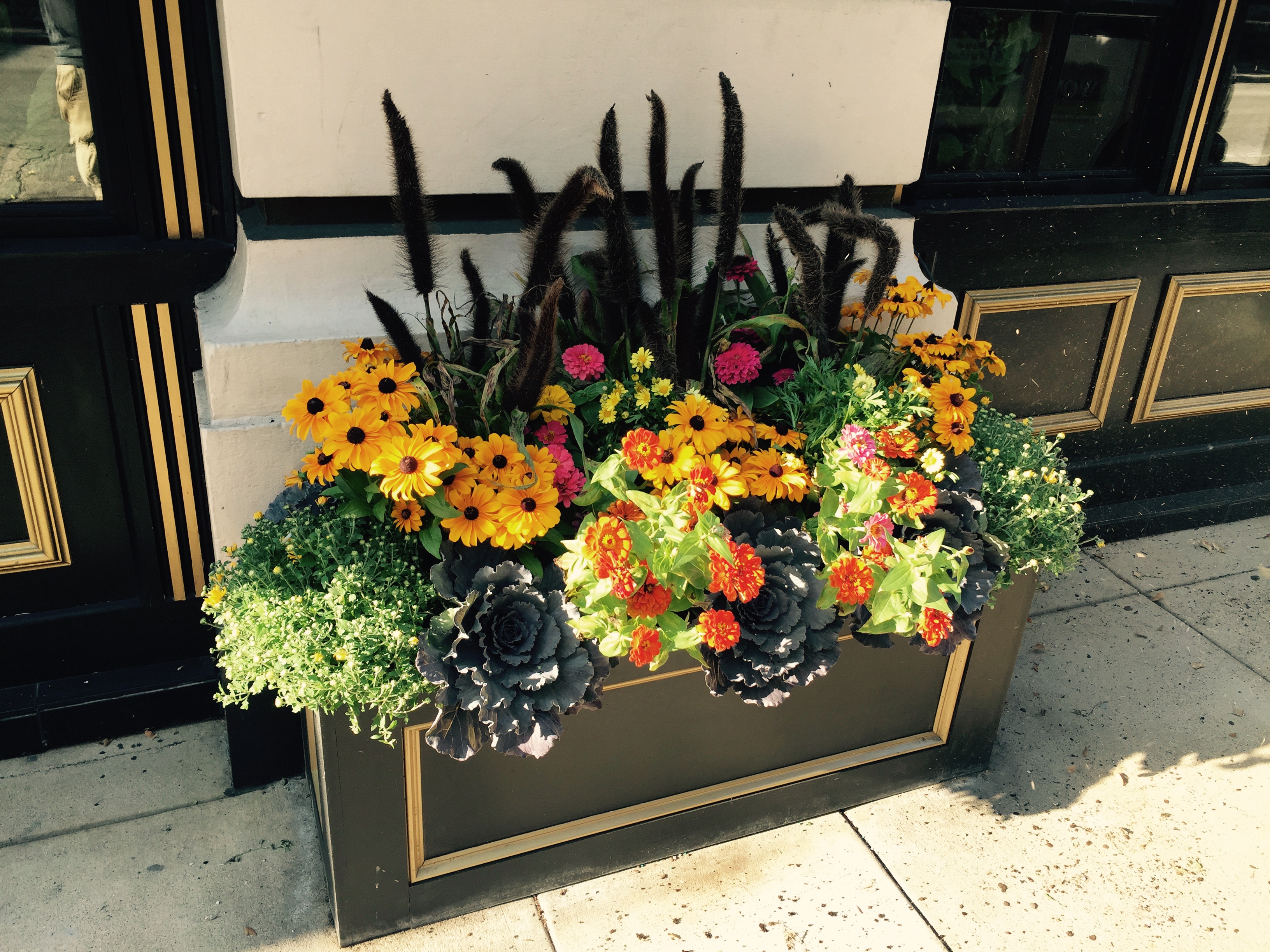 Fall is a beautiful time of the year and WOW Windowboxes adds color galore!