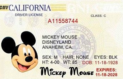 Mr Mouse Driving License.JPG