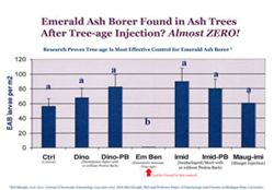 Emerald Ash Borers are killing Ash Trees.  The best defense is a Tree-age trunk injection which destroys the Emerald Ash Borer population in the tree and protects it for 2 years