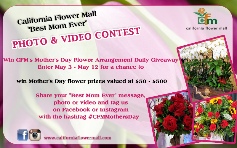 Best Mom Ever #CFMMothersDay Photo & Video Contest
