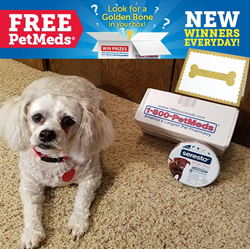 Jassie, previous winner of 1-800-PetMeds Golden Bone Pet Meds Giveaway