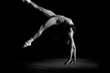 Female Gymnast : Hope Tralli