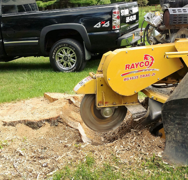 ArborScaper Tree & Landscape - Tree Services including Stump Grinding in Monroe County NY