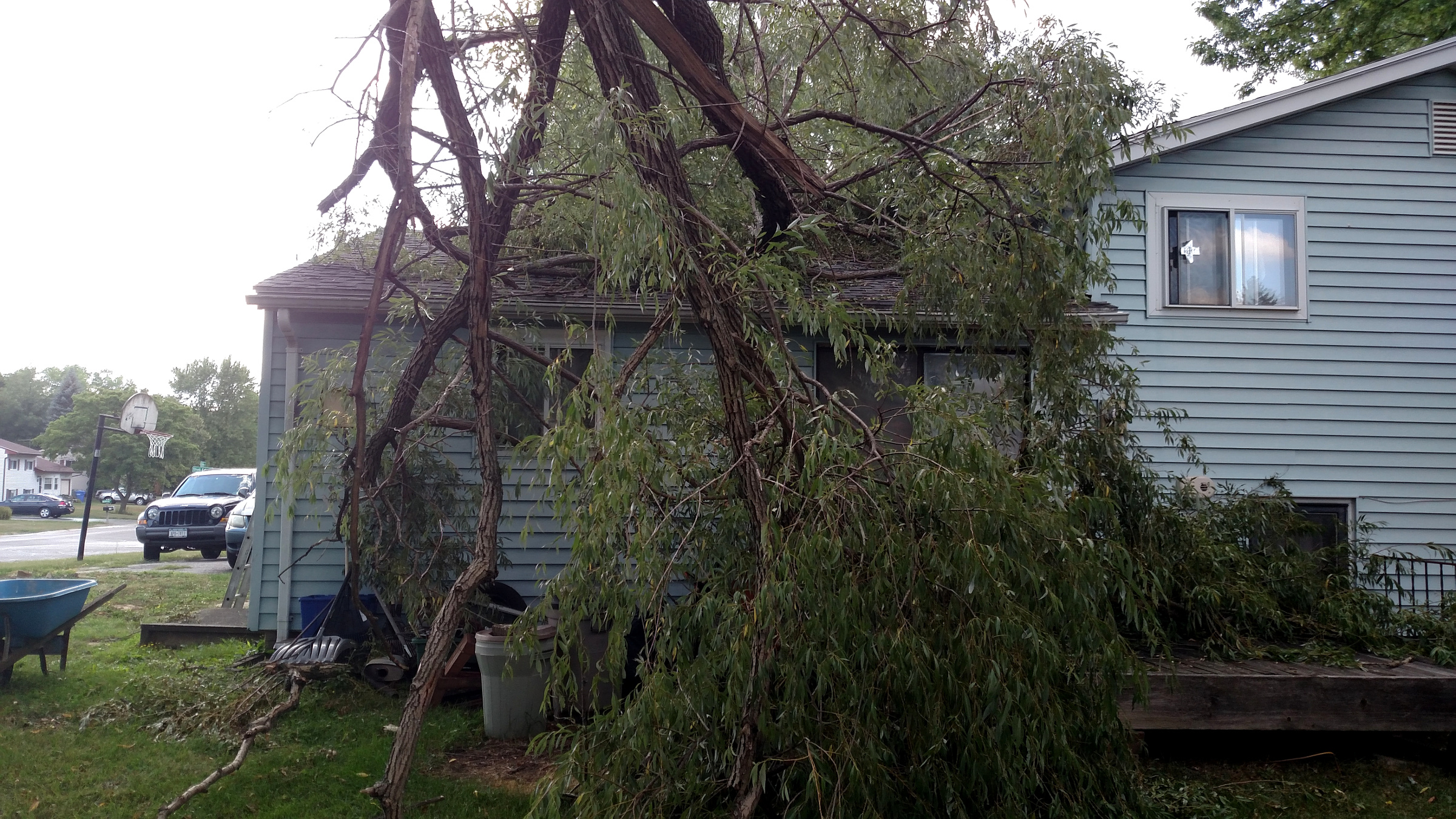 ArborScaper Tree & Landscape - Complete Tree Services for Storm Damage in Rochester NY - ArborScaperTree.com