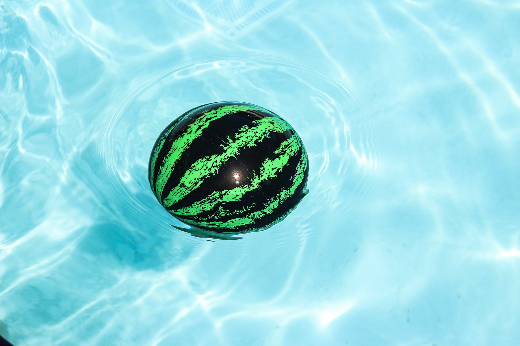 Watermelon Ball slowly rises to the top
