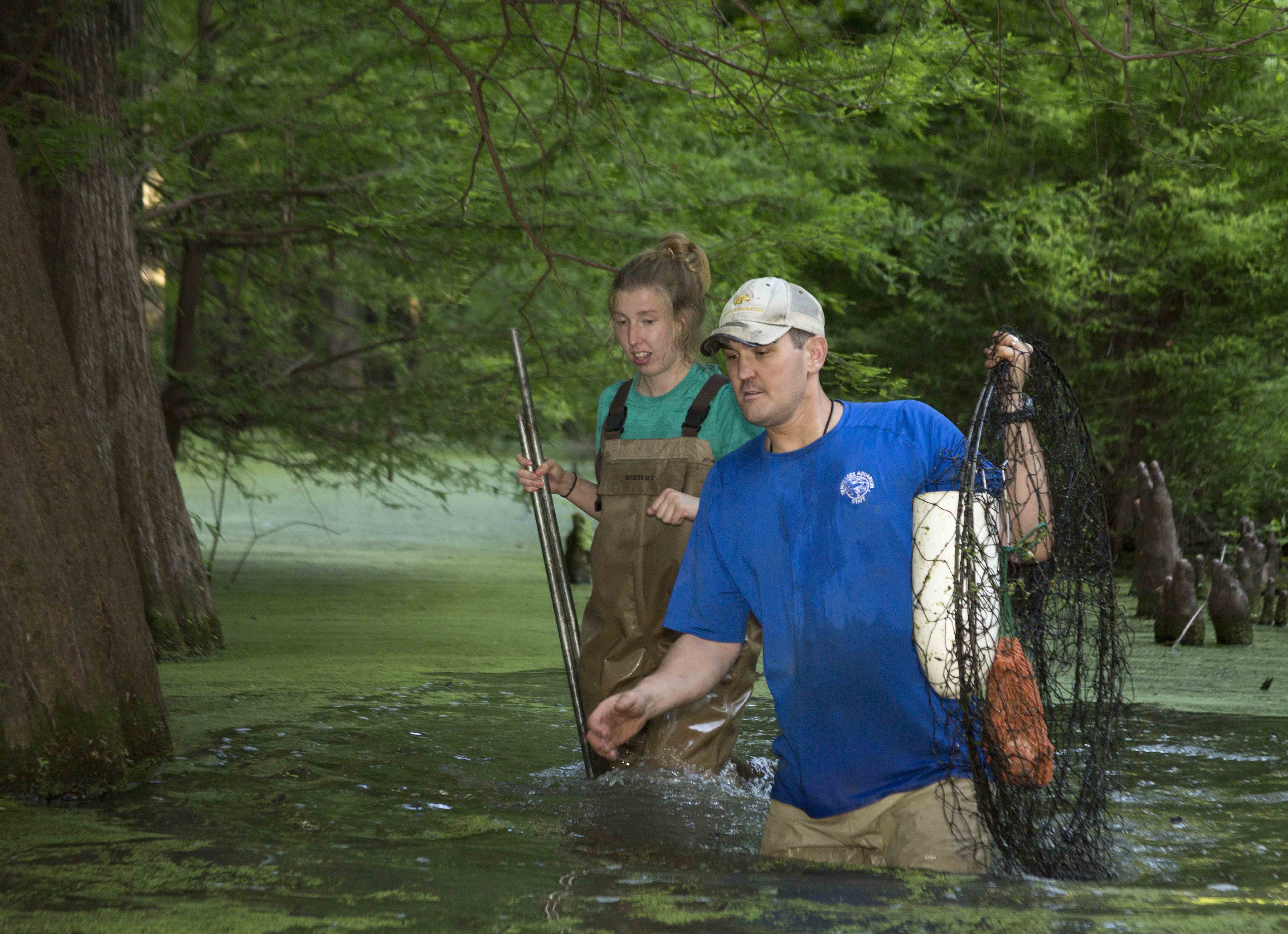 Dr. Josh Ennen and Madi Herrbolt setting hoop nets. Credit: Todd Stailey / Tennessee Aquarium