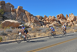 Cyclists ride through Joshua Tree National Park on a new biking and hiking tour with Sojourn Bicycling & Active Vacations in 2017.