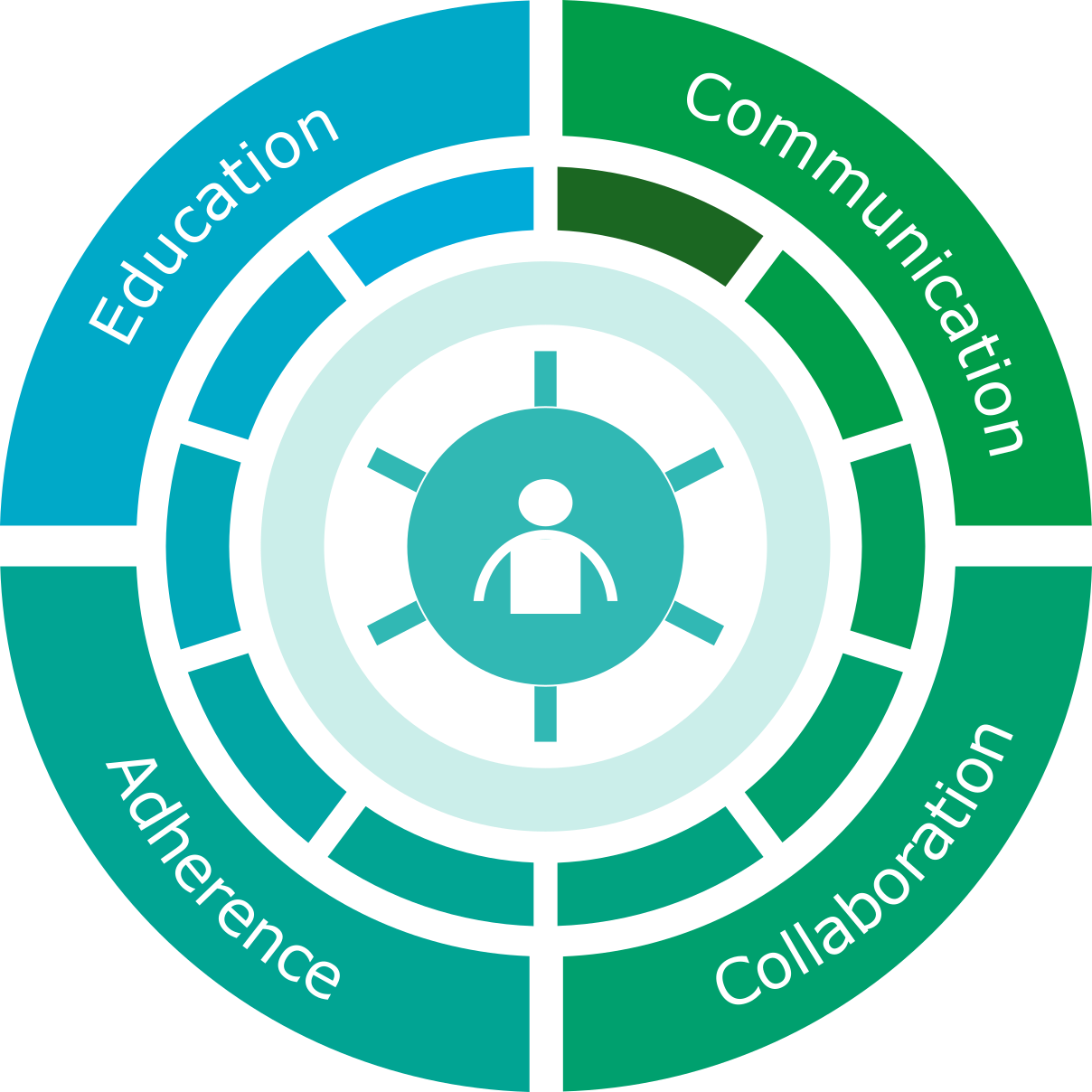 Four Pillars of Successful Adherence Programs