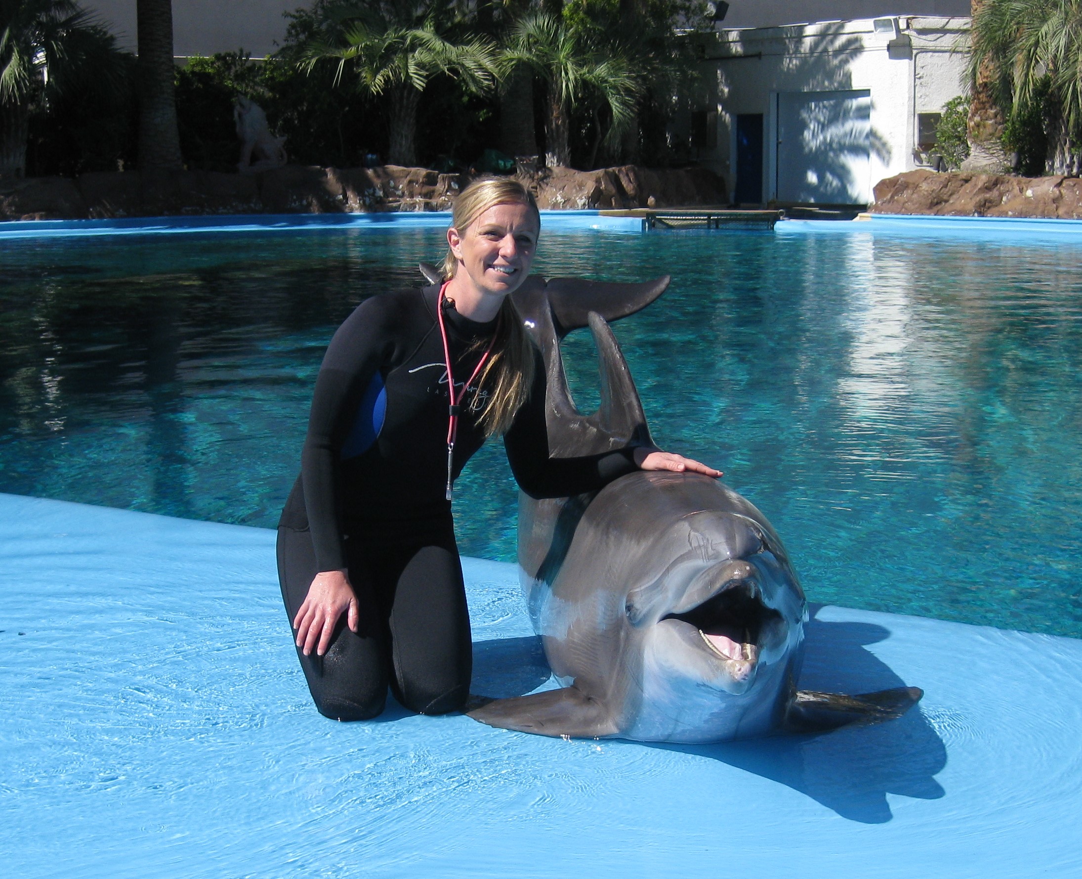 Erin Wise, Supervisor of Dolphin Care at The Mirage Dolphin Habitat