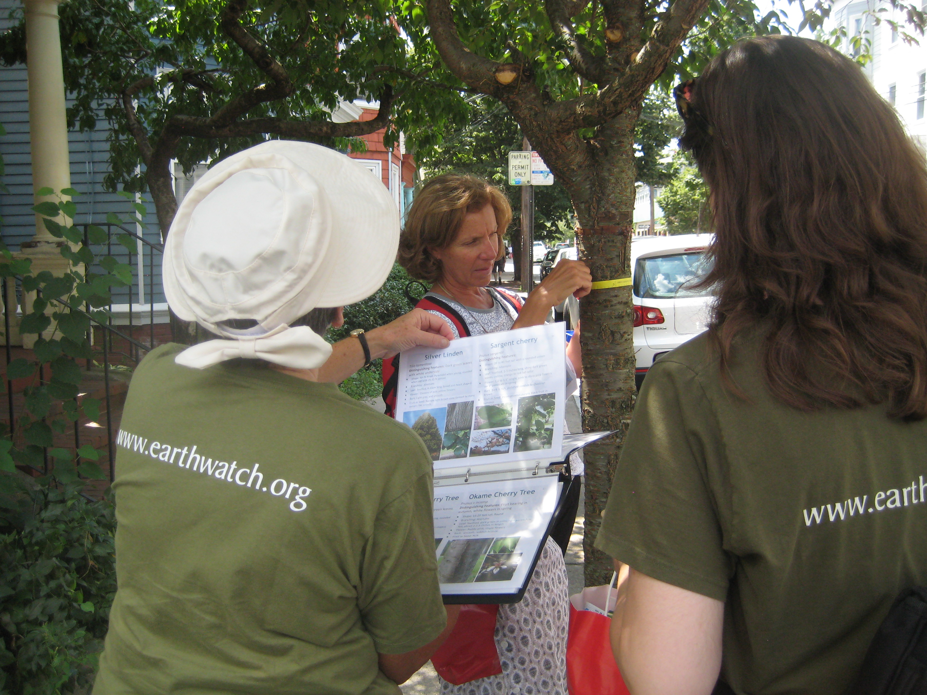 Earthwatch volunteers use a guide to identify trees in Cambridge. Credit: Gitte Venicx