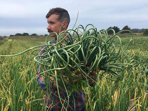 Kyle and Garlic