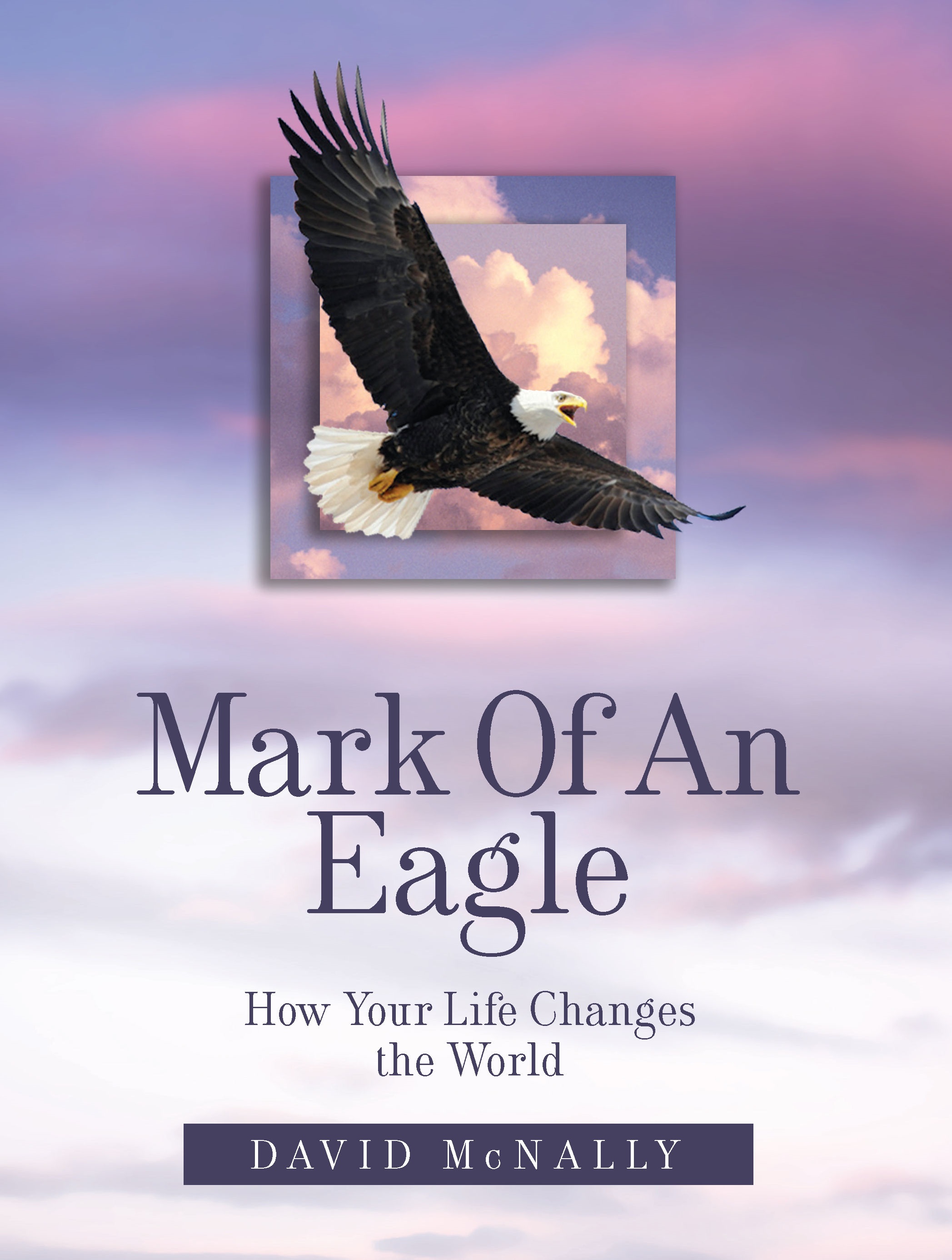 Mark Of An Eagle