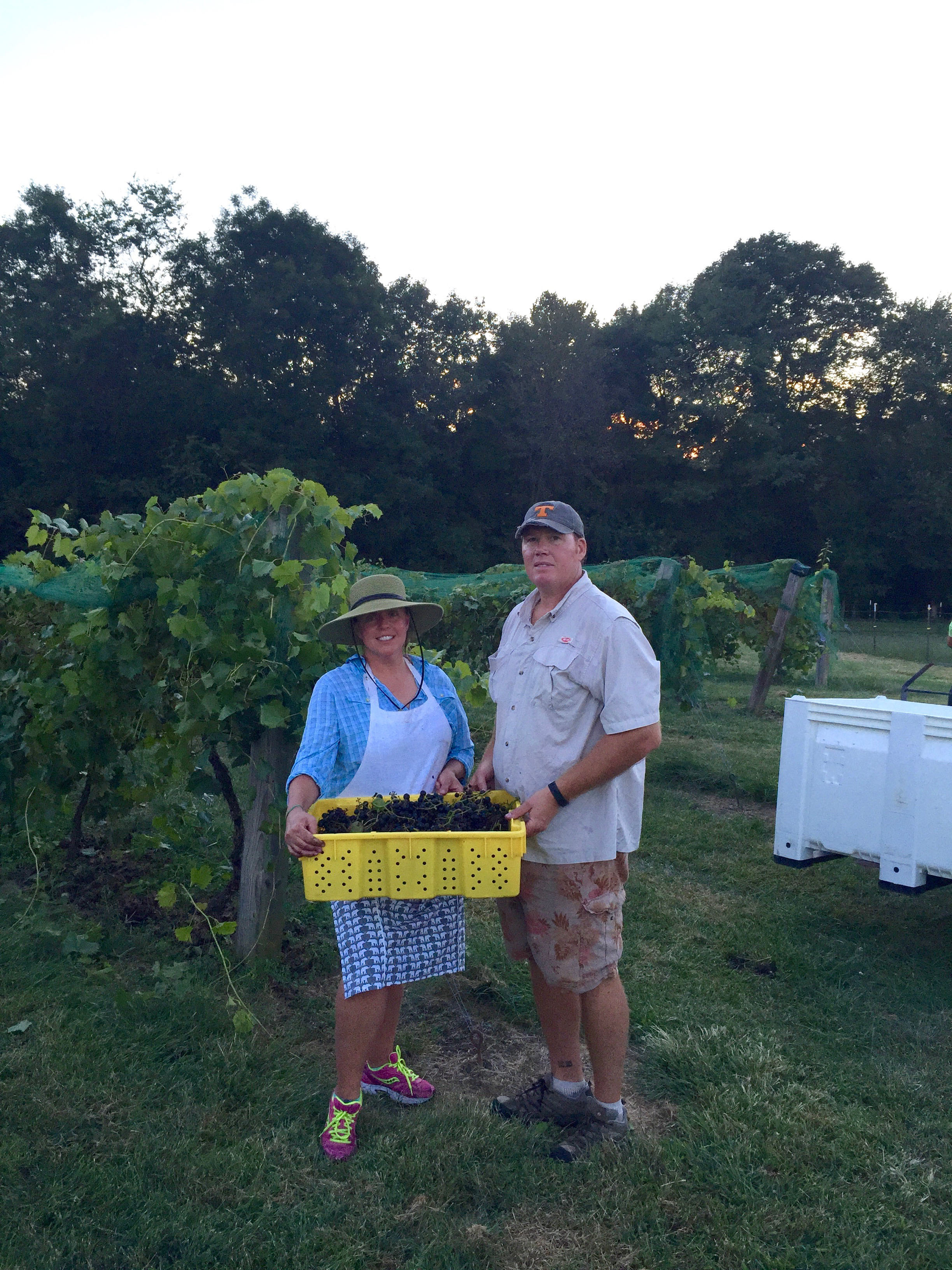 Scott and Rebecca Paschal in their Brush Creek, Tennessee, vineyard.