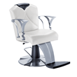 Modern Barber Chairs