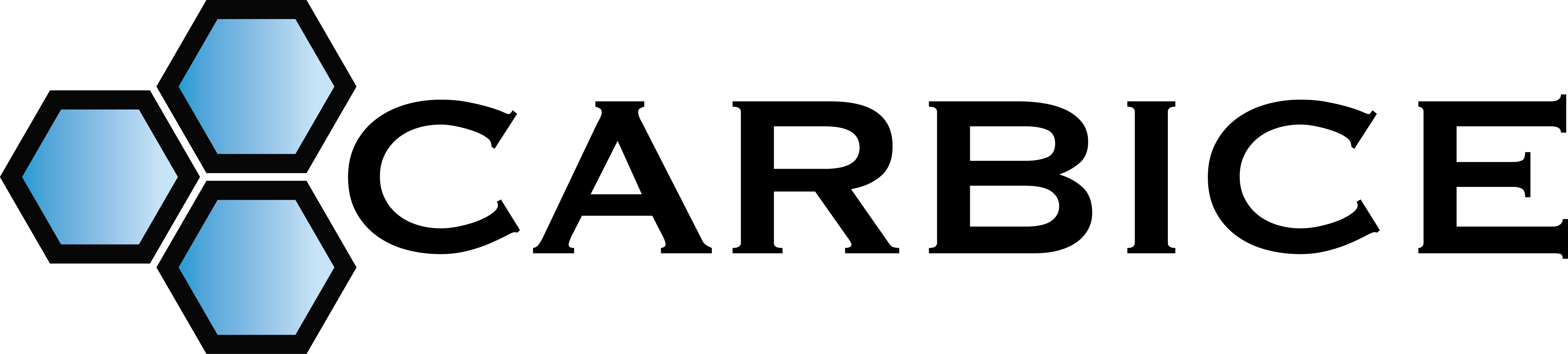 Carbice logo