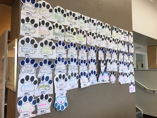 VCA messages of support on paw prints