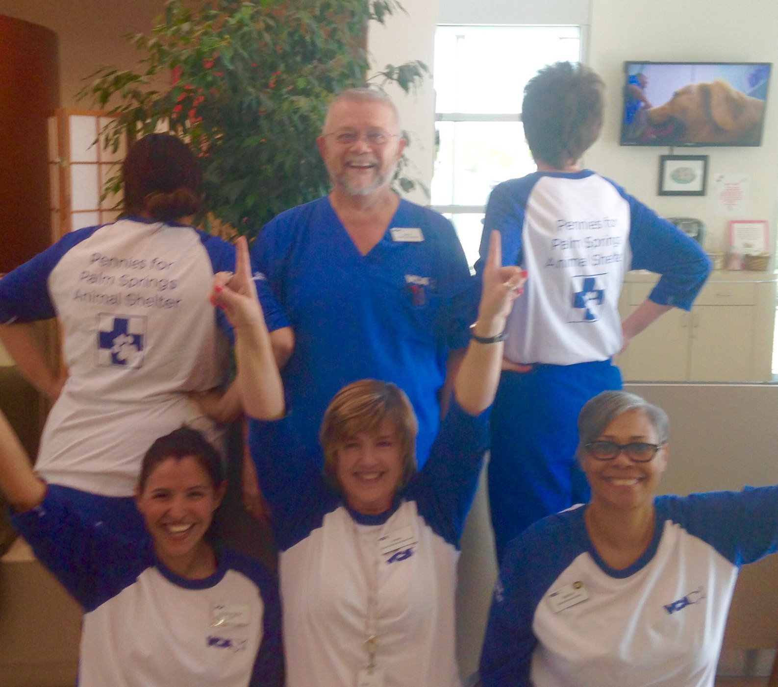 VCA teams across the country support Pennies for Pets