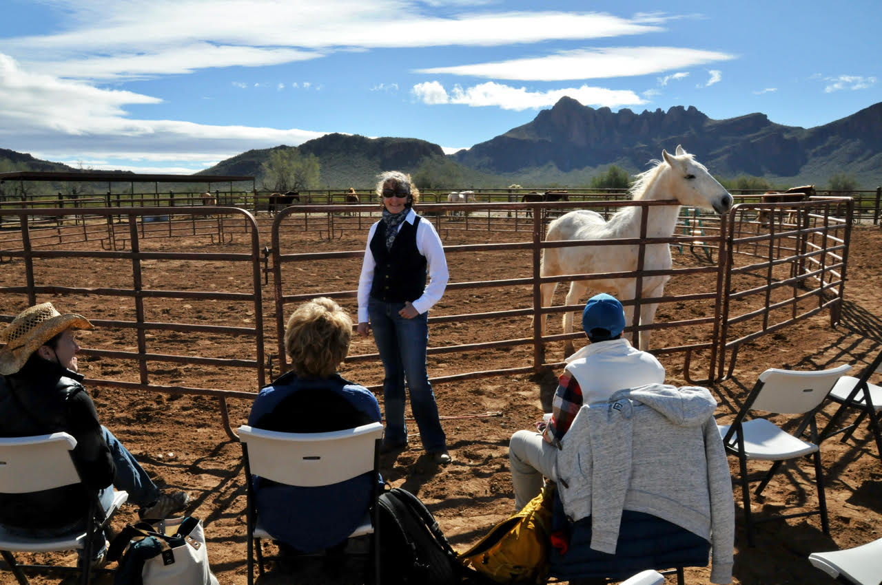Kathy Pike speaks to a small group of participants during one of the sessions offered at the 2017 Academy for Coaching with Horses Retreat and Conference.