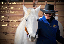 Coaching with Horses Equine Facilitated Learning