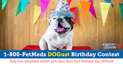1-800-PetMeds Cares DOGust Birthday Contest