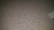 The secret? PSP self-leveling overlayment: This close-up of the polished concrete / terrazzo-like finished floor of the Waukesha County Technical College shows a seamless – and durable – surface.