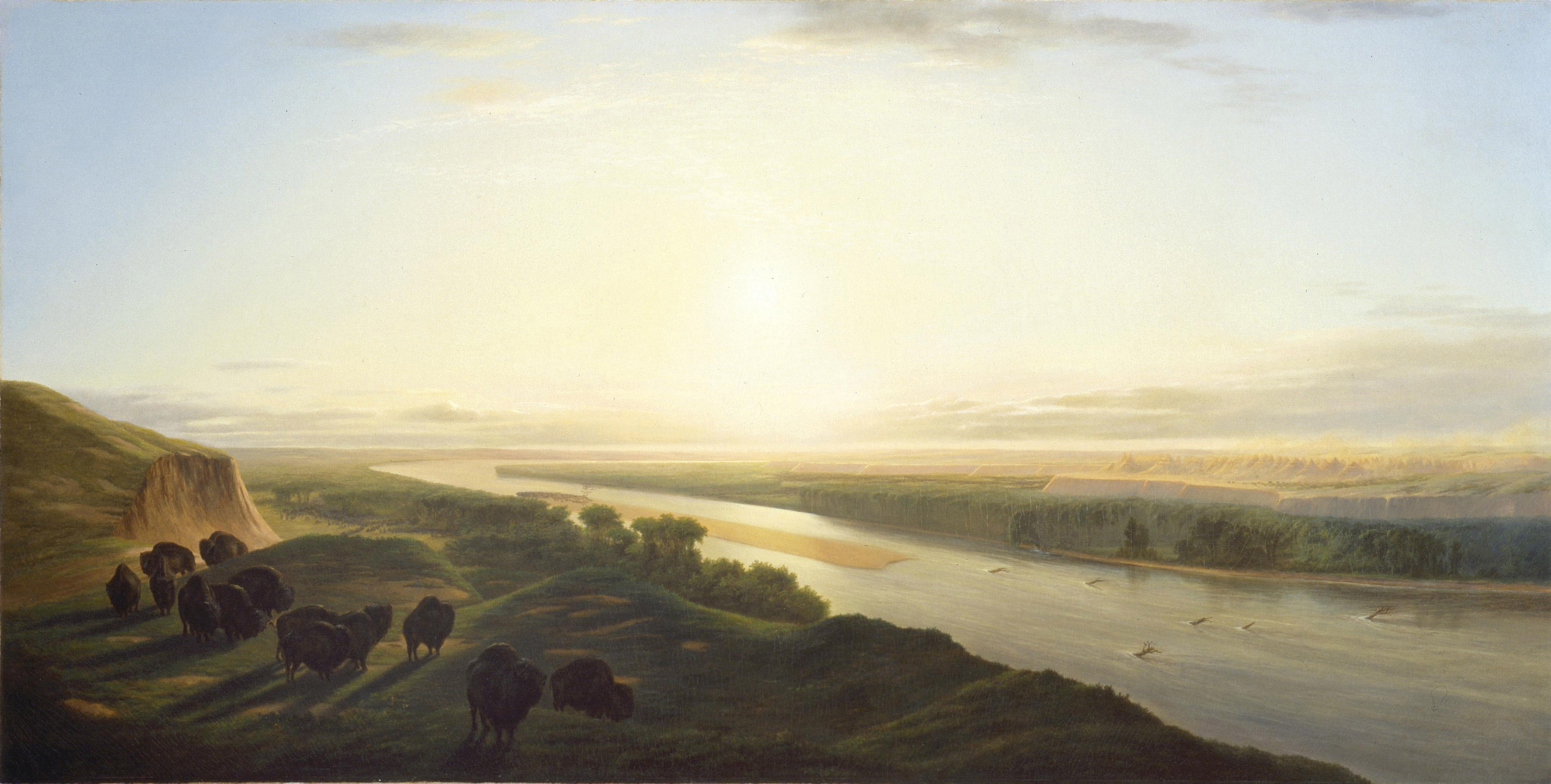 William Jacob Hays, Sr., A Herd of Bison Crossing the Missouri River, 1863