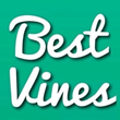 Best Vines (@bestvines), a comedy and entertainment platform known for their meme-obsessed content creations.