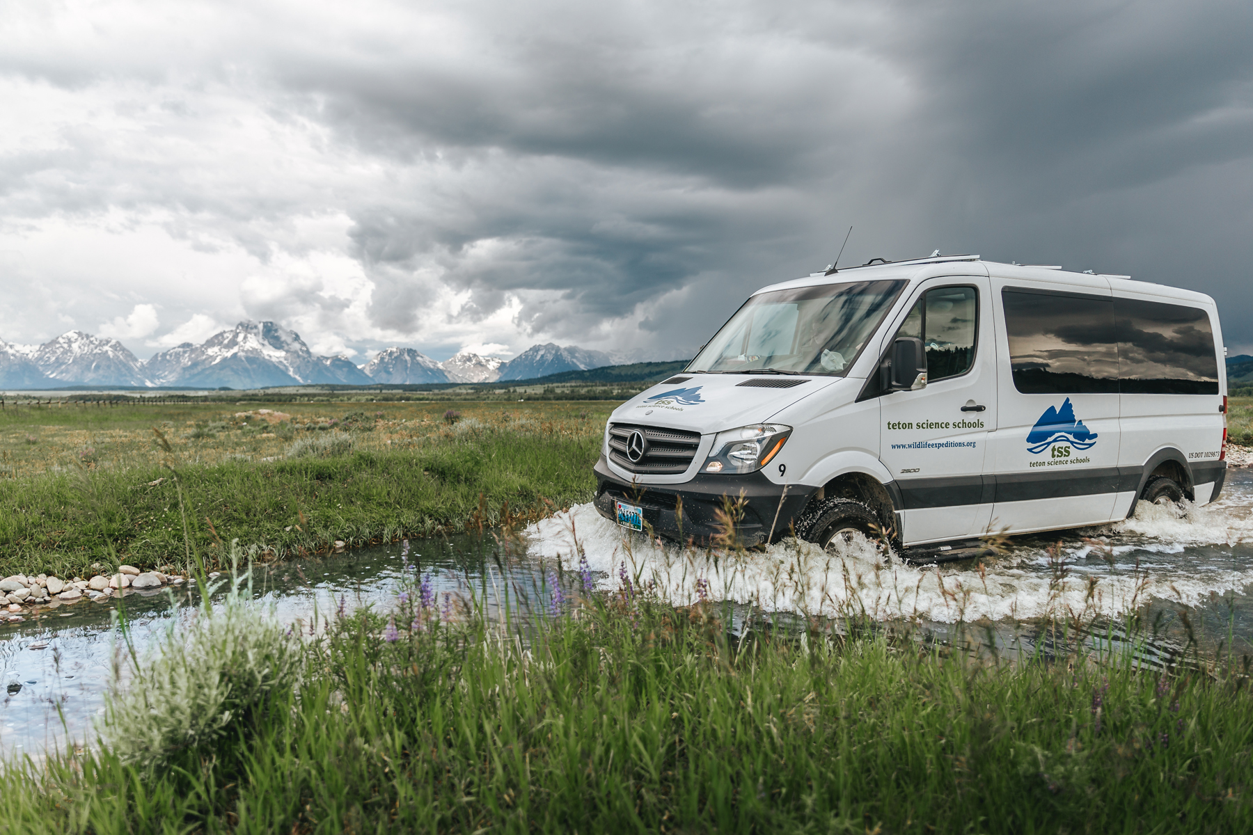 Traveling via Mercedes-Benz Sprinter custom safari vehicles, Wildlife Expeditions guests explore Yellowstone in style, popping open the roof hatch for spectacular views (photo by Orijin Media).