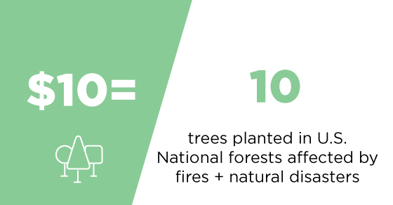 What $10 can do? Trees planted in U.S. National forests affected by fires + natural disasters.