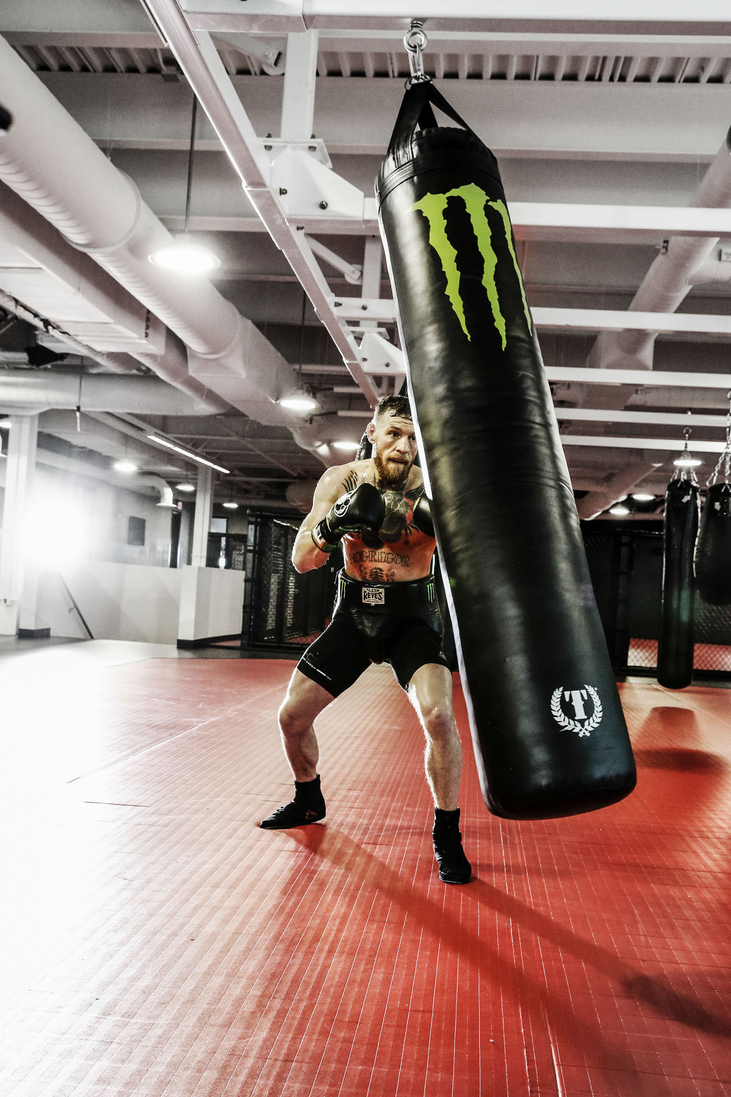 Monster Energy Announces Continued Sponsorship Deal With MMA Superstar  Conor “The Notorious” McGregor