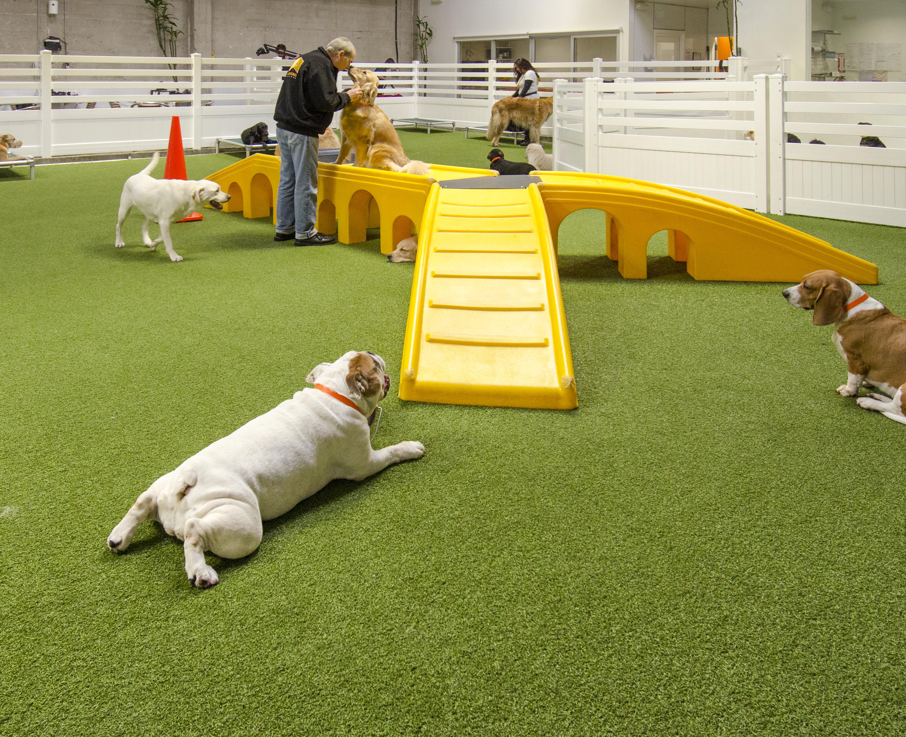 The patented K9Grass flushing system in use at LA Dogworks in Los Angeles, CA
