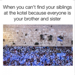 Meme with an image of hundreds of people wearing Israeli flags at the Western Wall, with the description: when you can't find your siblings at the kotel because everyone is your brother and sister