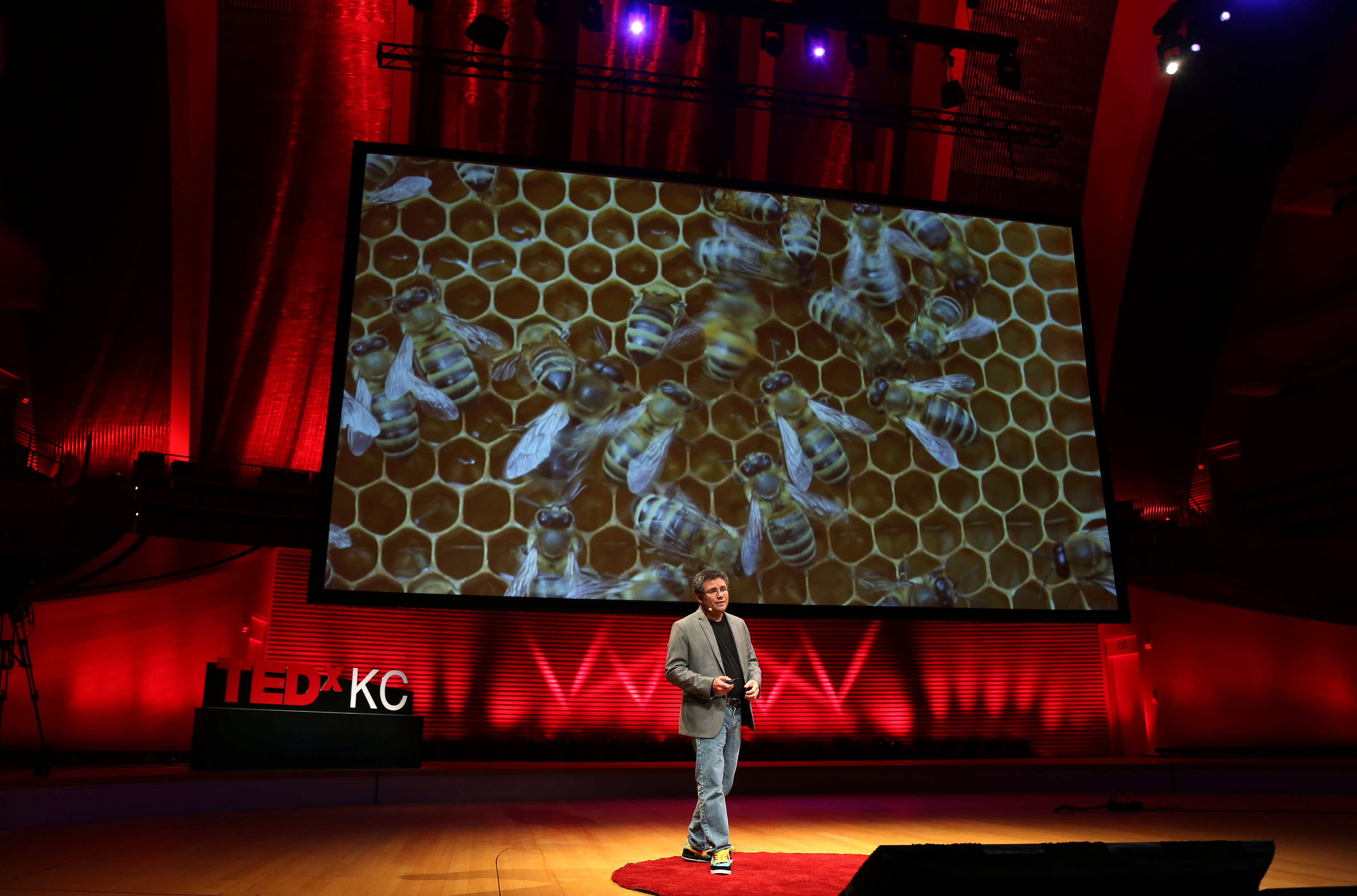 Louis Rosenberg PhD — a prolific inventor, scientist, entrepreneur — developed Swarm AI, a new technology that combines real-time human insights and AI algorithms to produce “hive minds” modeled after