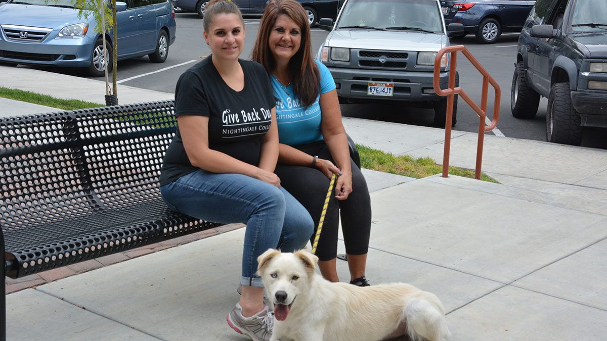 Two collaborators spent time walking dogs at the Humane Society of Utah.