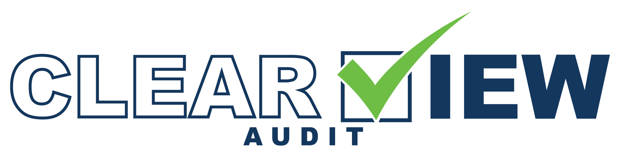 ClearView Audit Makes Inc. 500
