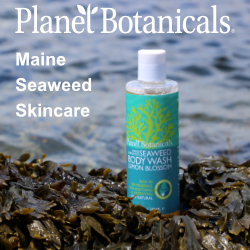 Maine Seaweed Skincare, Planet Botanicals, Seaweed Skincare, Seaweed