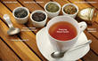 Radiance as visualized through a Tea Leaf paradigm