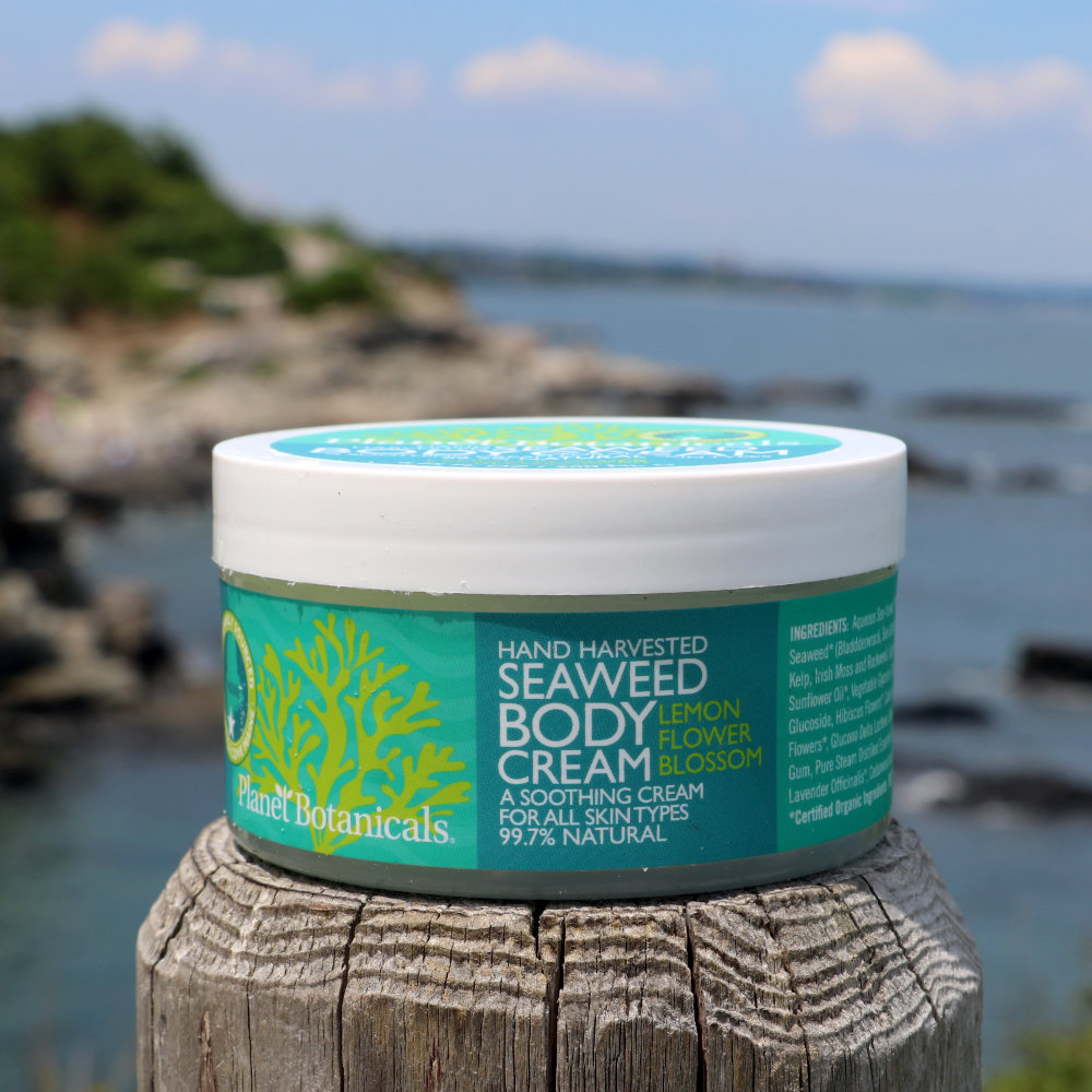 Maine Seaweed Body Cream
