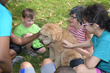 One of the two therapy dogs who joined the campers this year.
