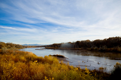 Rio Grande in New Mexico