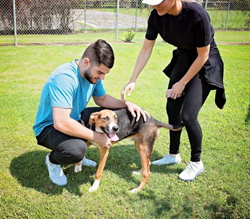 The Lance McCullers Jr. Foundation
