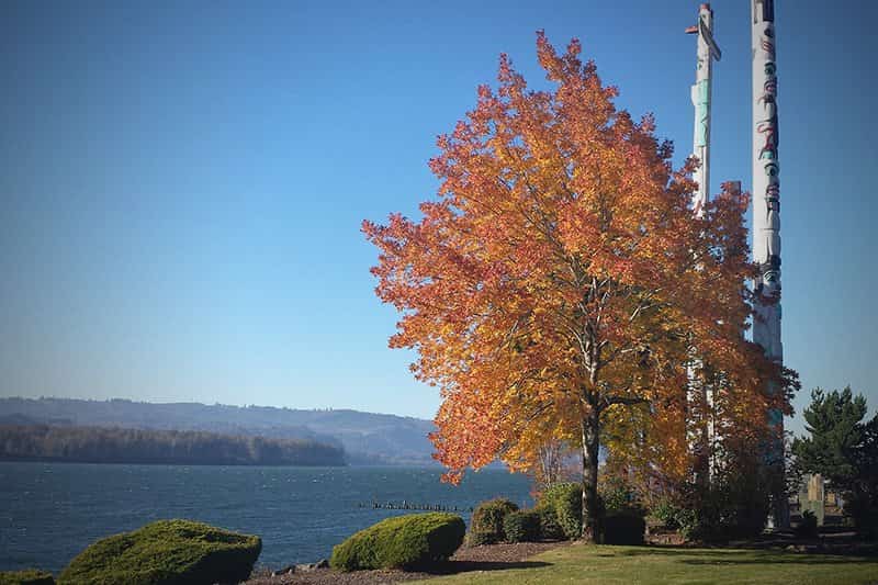 Part of the Port of Kalama mission is to provide recreational facilities and opportunities for the public.