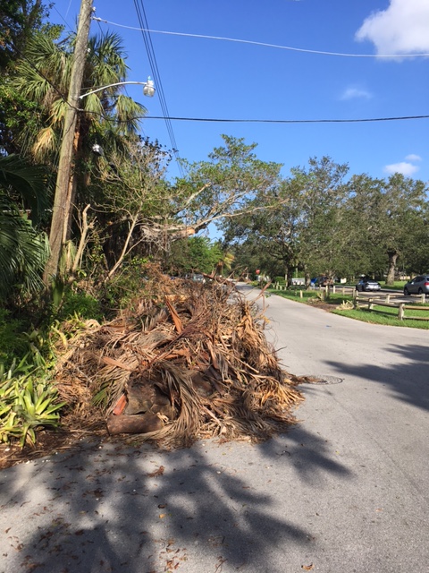 Example of Debris 14 days after Hurricane Irma