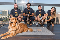 The Control Group Team and Dogs
