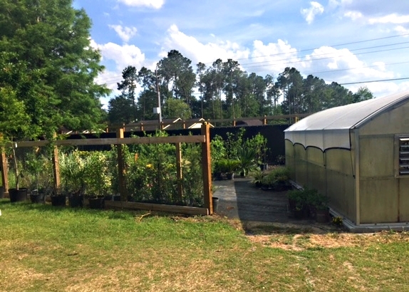 New fence installation from inside the Botanic Garden.
