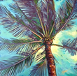 Palm Crest | Fine Art Painting from Clint Eagar Design Gallery in Santa Rosa Beach,FL | Gallery near Destin, Panama City
